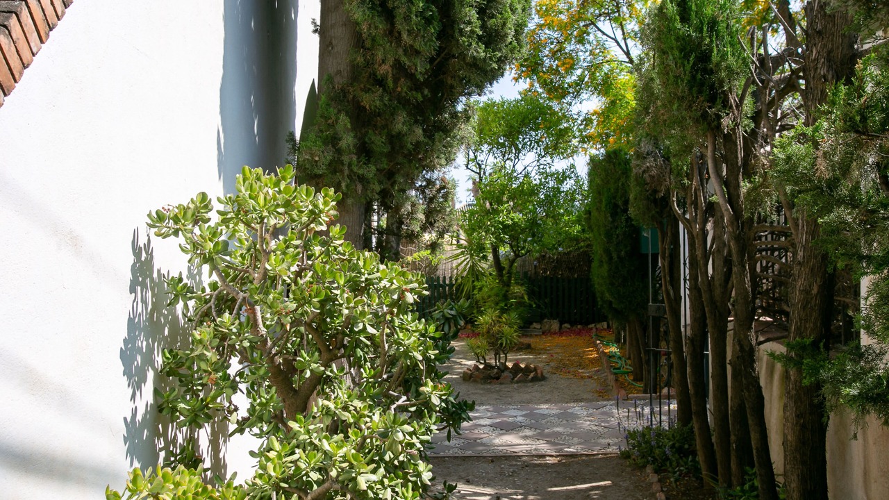 Photo of Outdoor in Pedregalejo