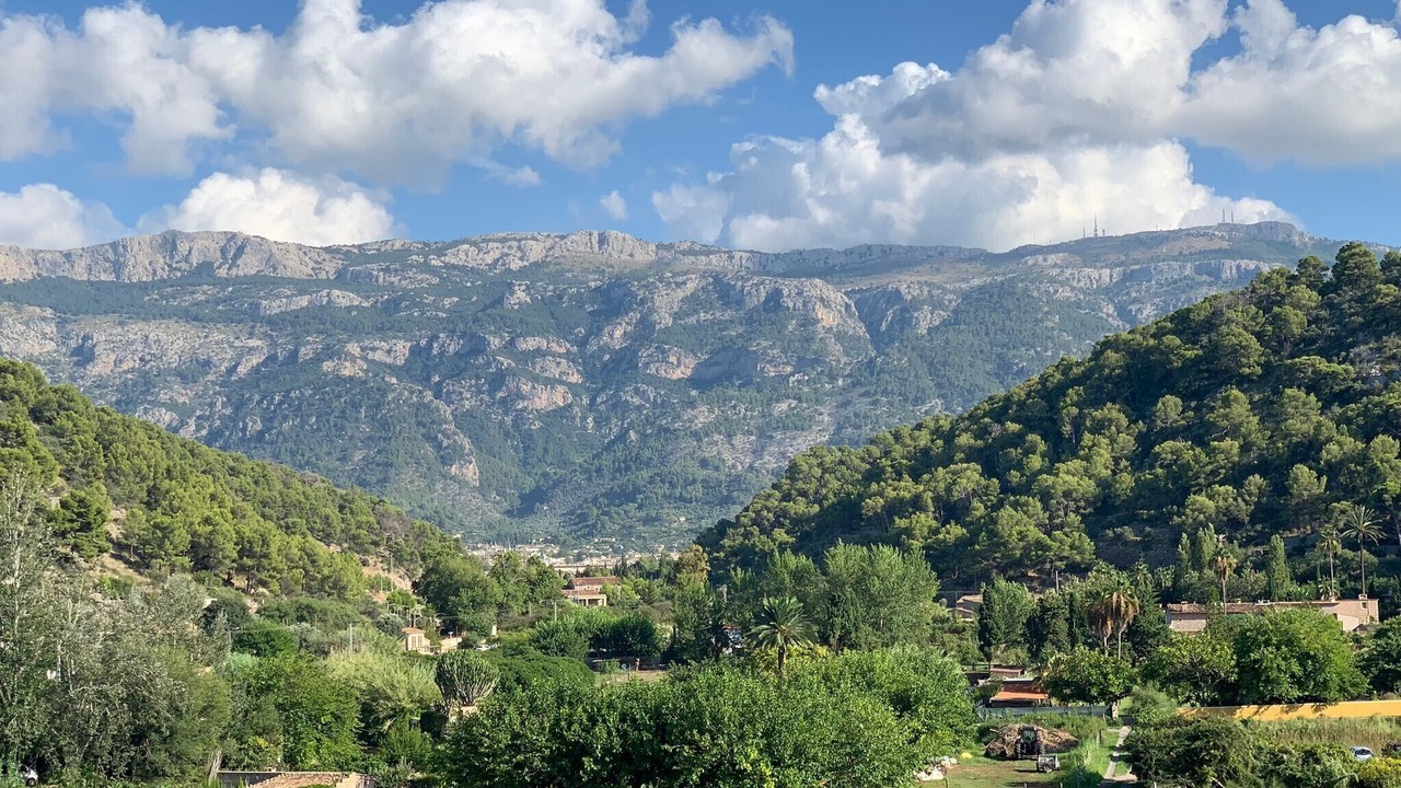 Photo of Others in Puerto de Soller