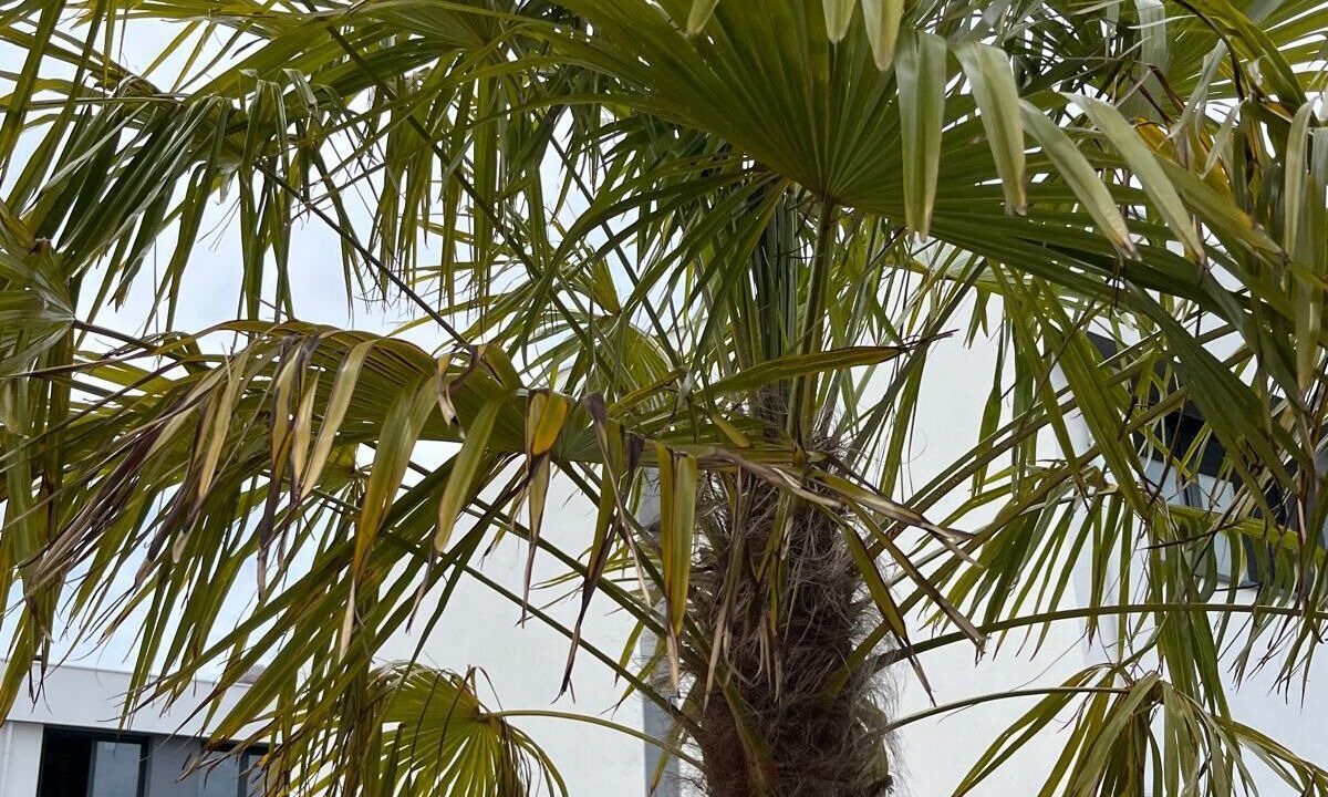 Photo of Outdoor in Cerecedo