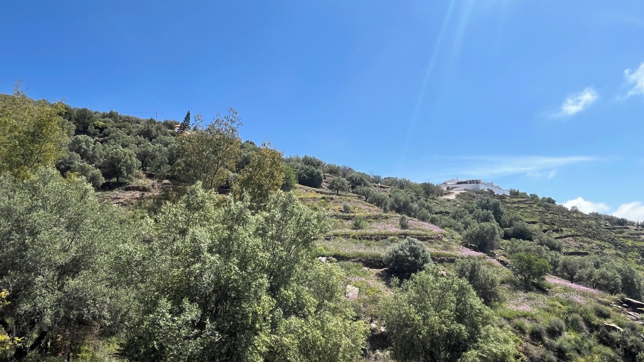 Photo of Outdoor in Sayalonga