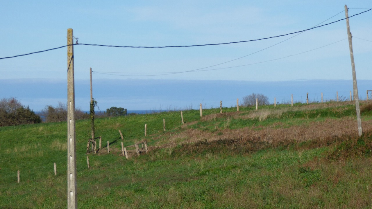 Photo of Outdoor in Loza