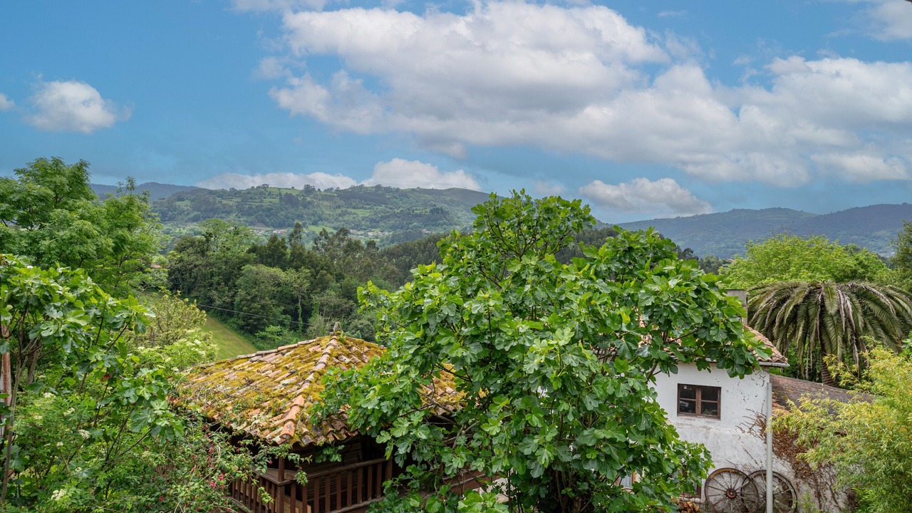 Photo of Outdoor in Camoca