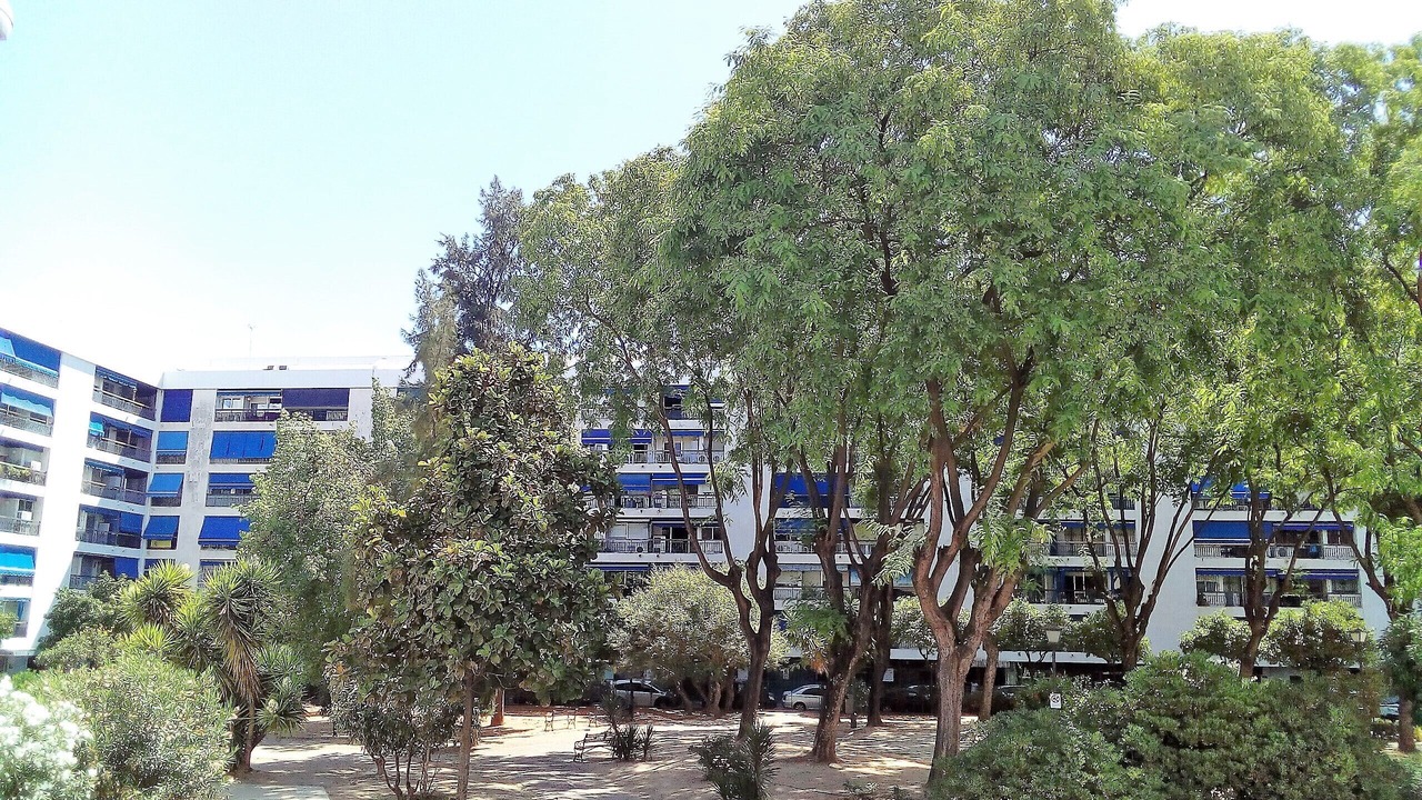 Photo of Outdoor in El Carmen