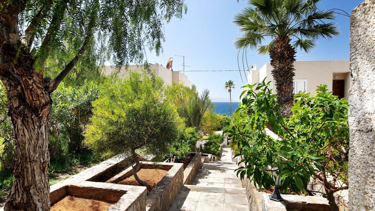 Photo of Outdoor in Los Gigantes