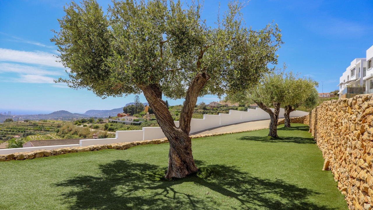 Photo of Outdoor in Benissa