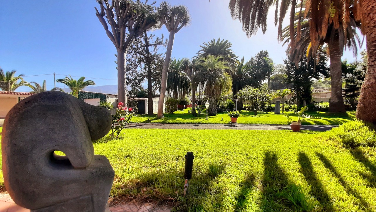 Photo of Outdoor in Los Realejos
