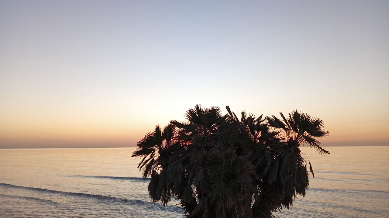 Photo of Others in Marina d'Or