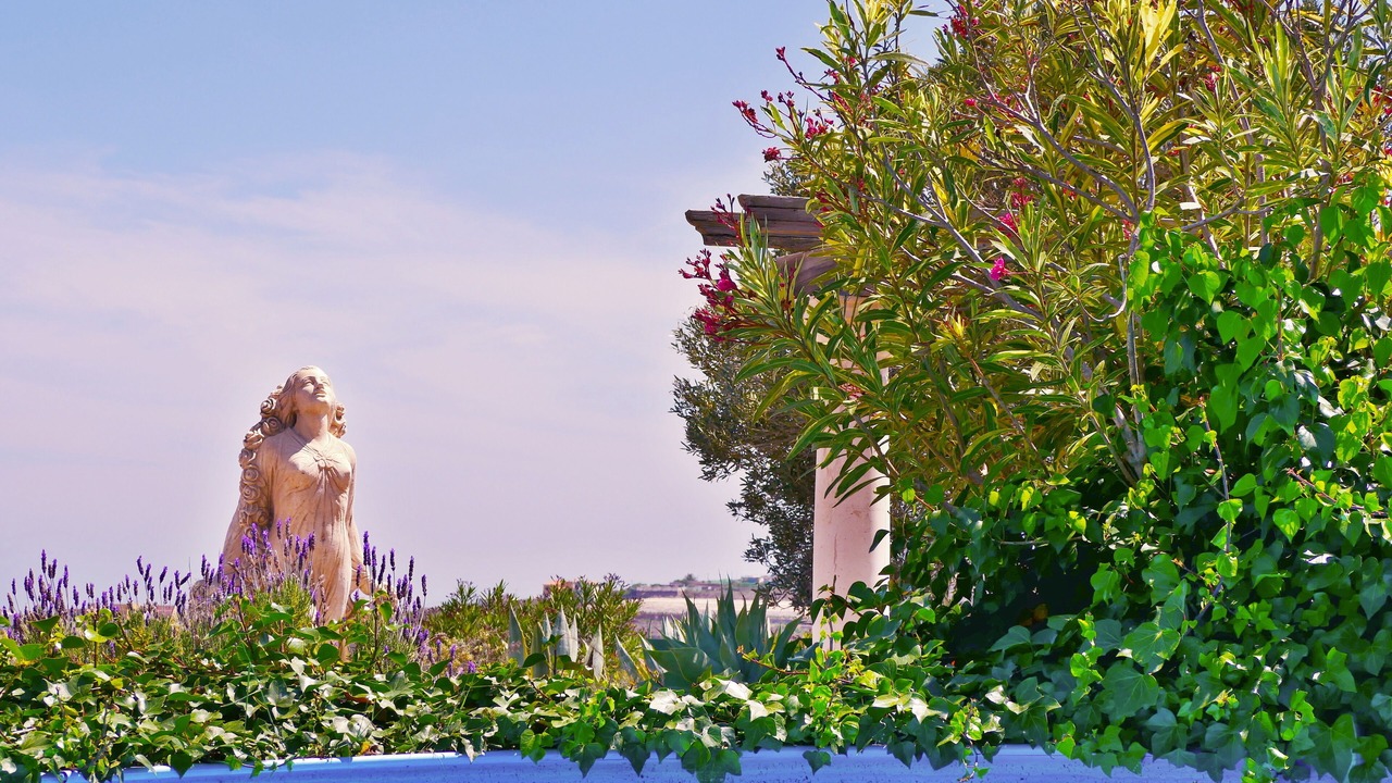 Photo of Outdoor in La Sabinita