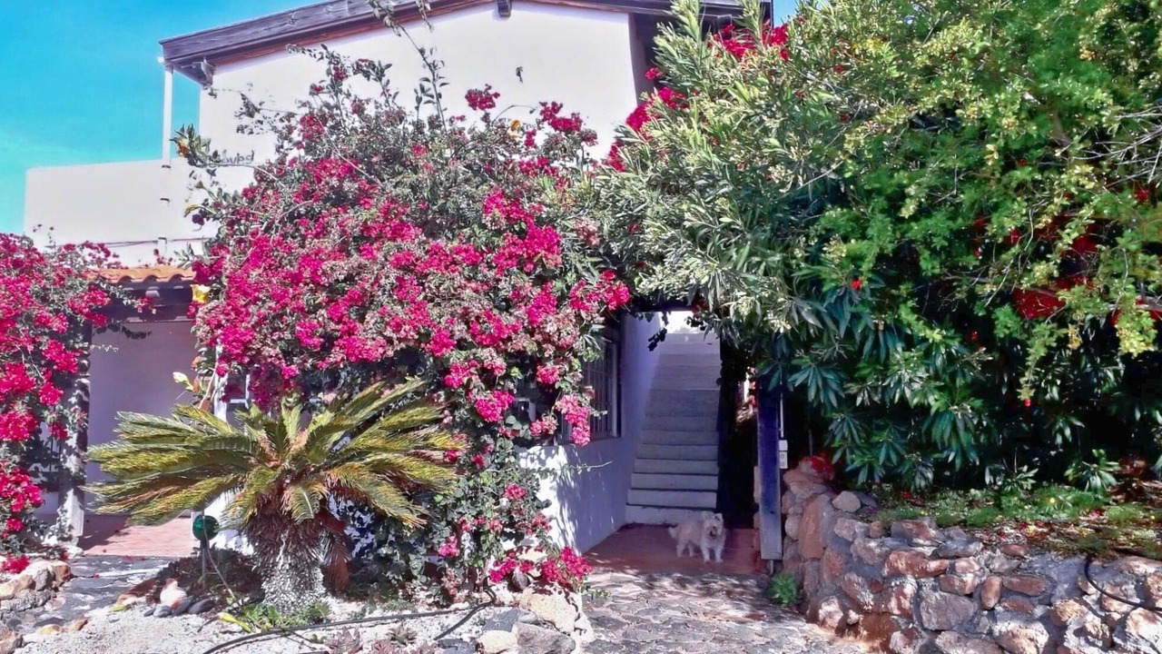 Photo of Outdoor in La Sabinita