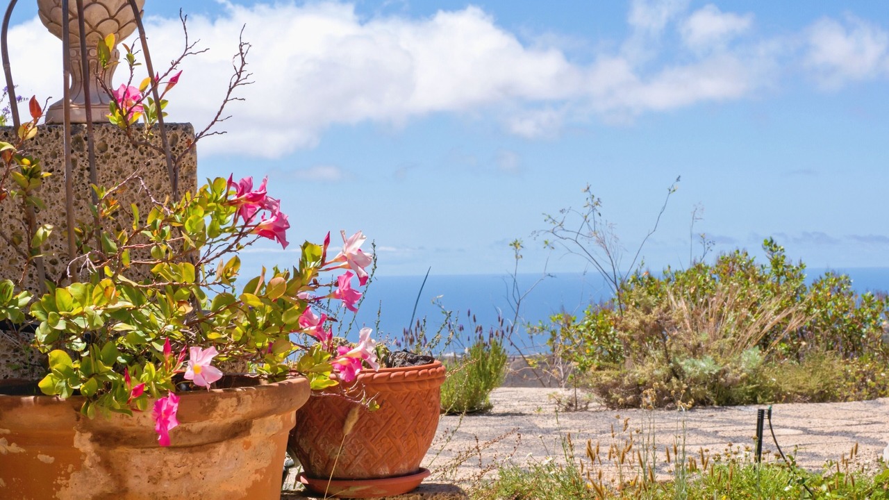 Photo of Outdoor in La Sabinita