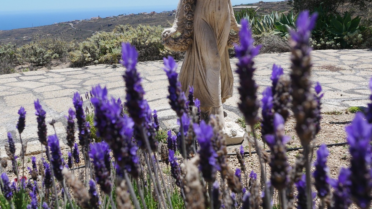 Photo of Outdoor in La Sabinita