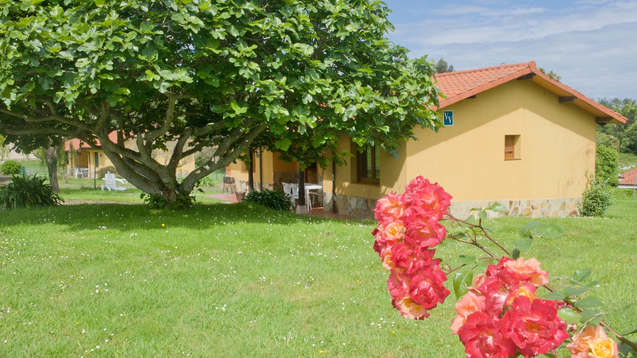 Photo of Outdoor in Ovio