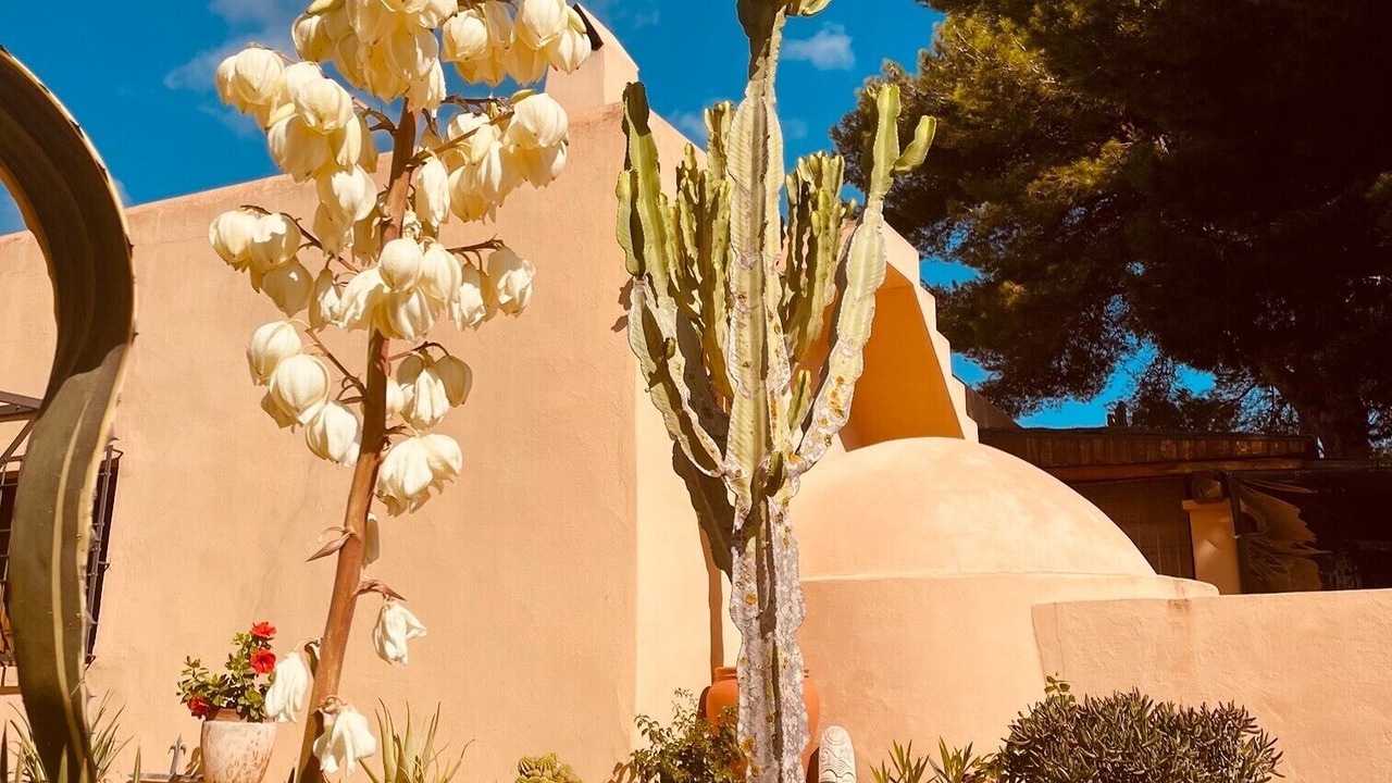 Photo of Outdoor in Sant Josep de sa Talaia