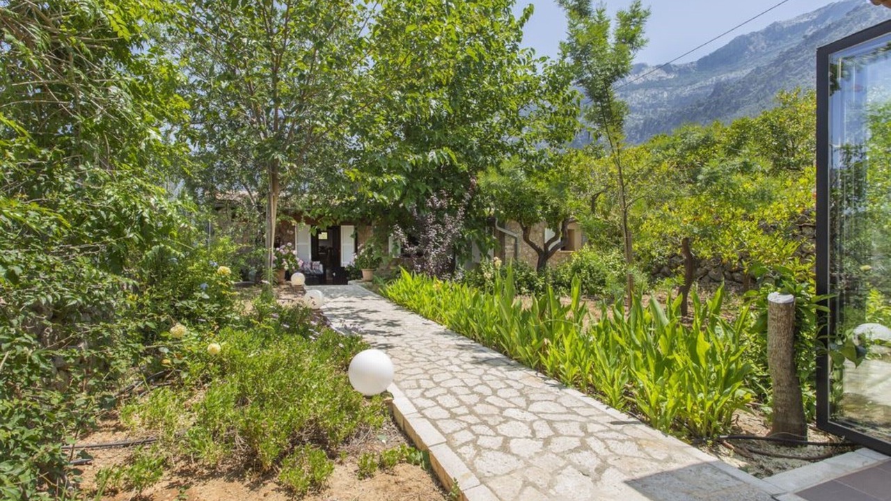 Photo of Outdoor in Soller