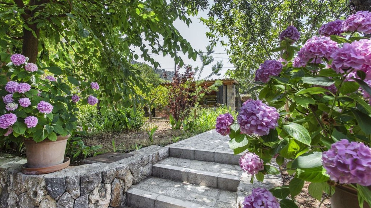 Photo of Outdoor in Soller