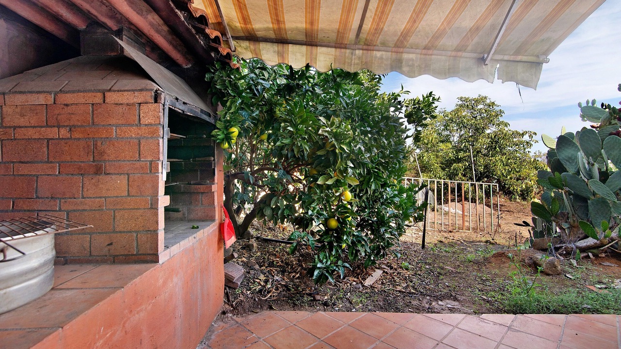 Photo of Outdoor in La Solana
