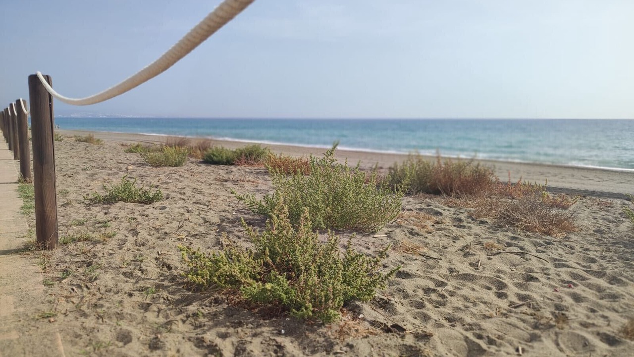 Photo of Others in San Luis de Sabinillas