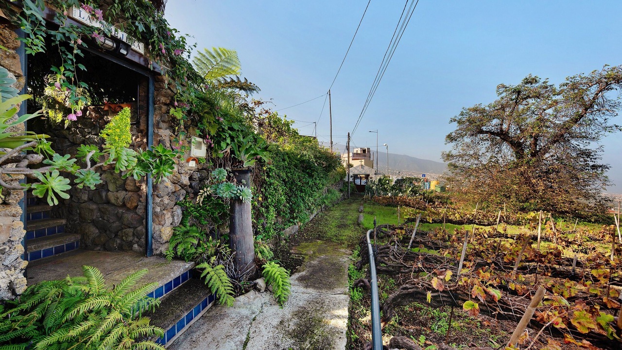 Photo of Outdoor in Montijos