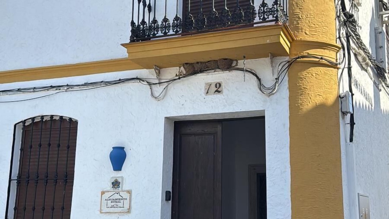 Photo of Outdoor in El Real de la Jara