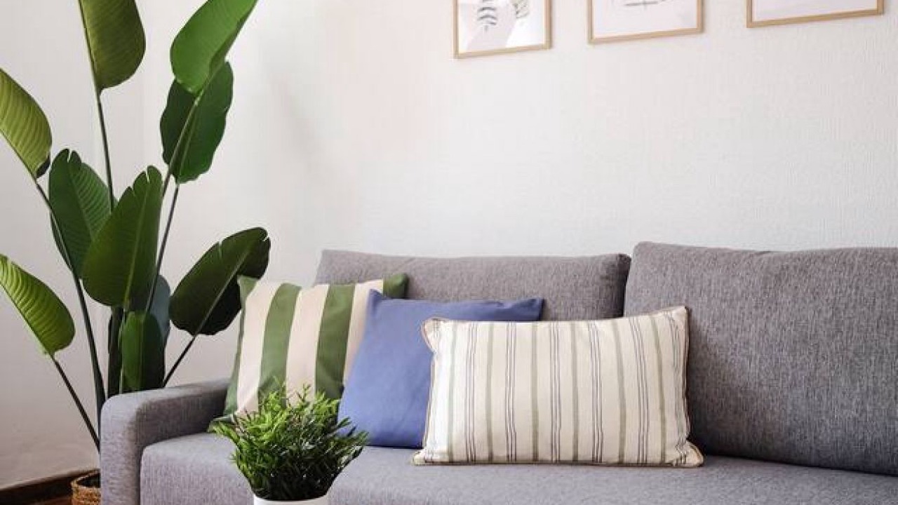 Photo of Livingroom in Cimadevilla