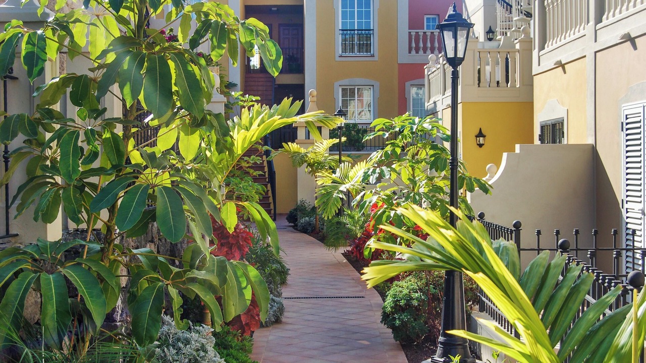 Photo of Outdoor in Palm-Mar