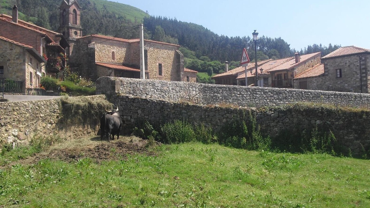Photo of Others in Celis