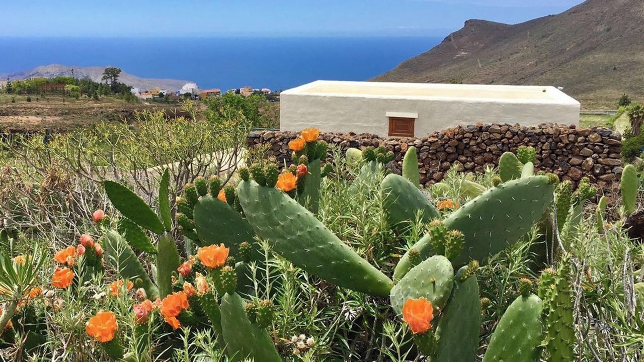 Photo of Outdoor in El Madronal
