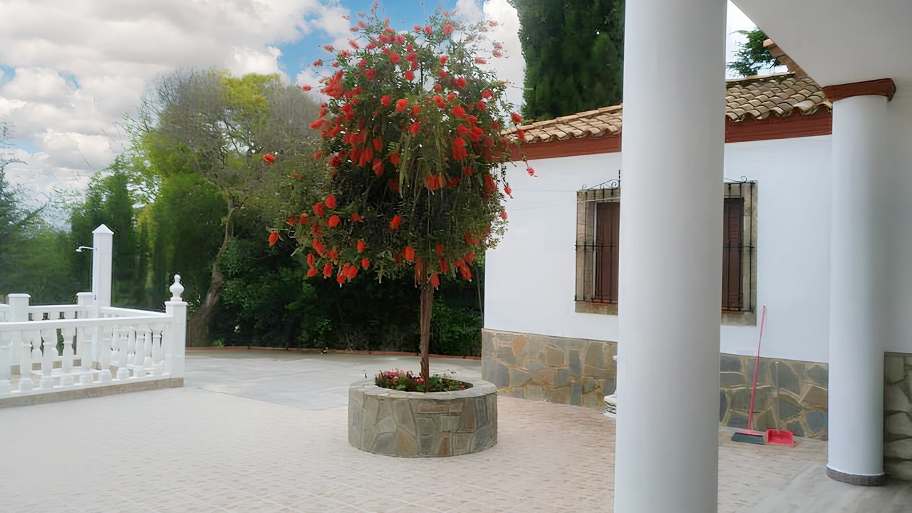 Photo of Others in Prado del Rey