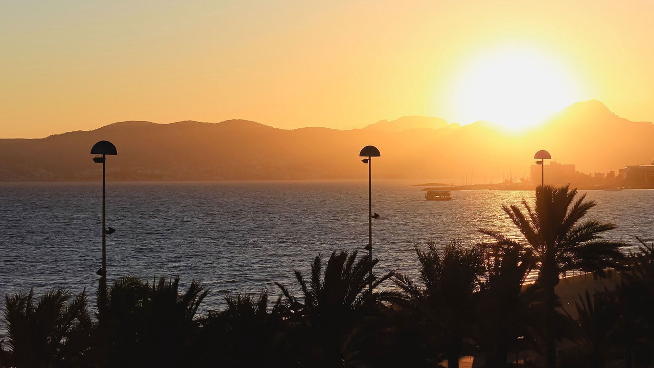 Photo of Others in Palma de Mallorca