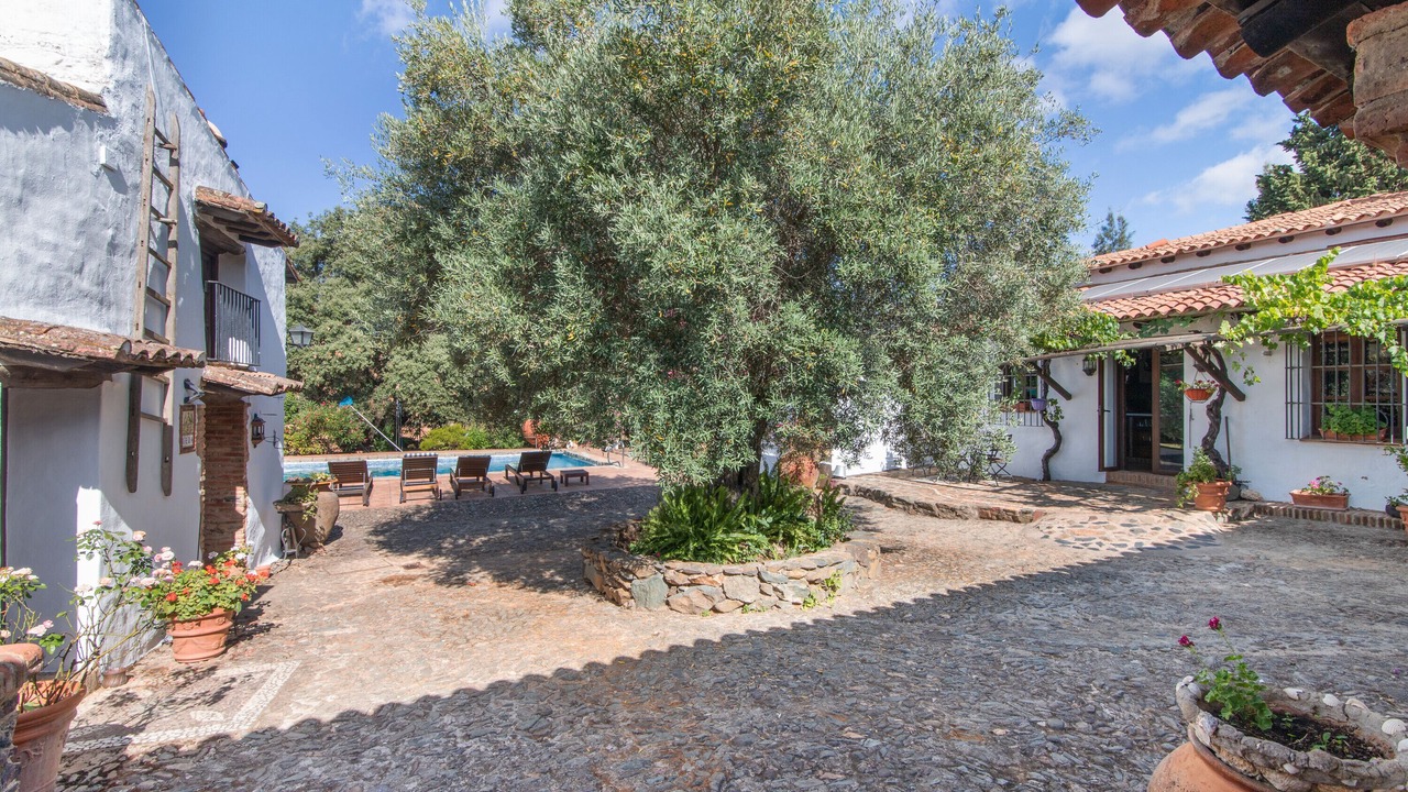 Photo of Outdoor in Calabazares