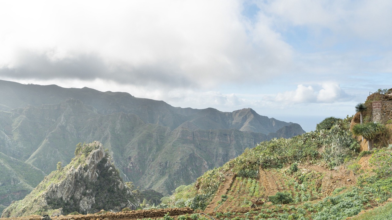 Photo of Others in San Cristobal de La Laguna