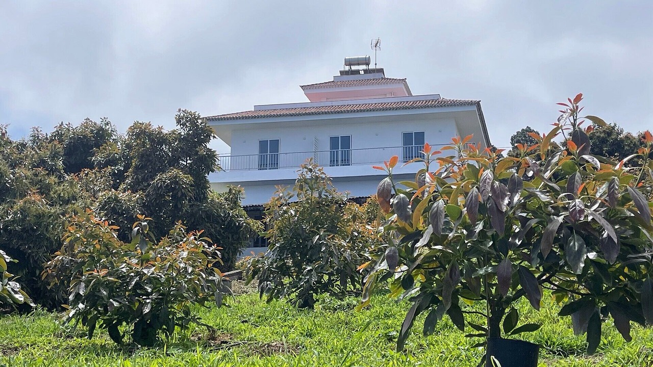 Photo of Outdoor in Montijos