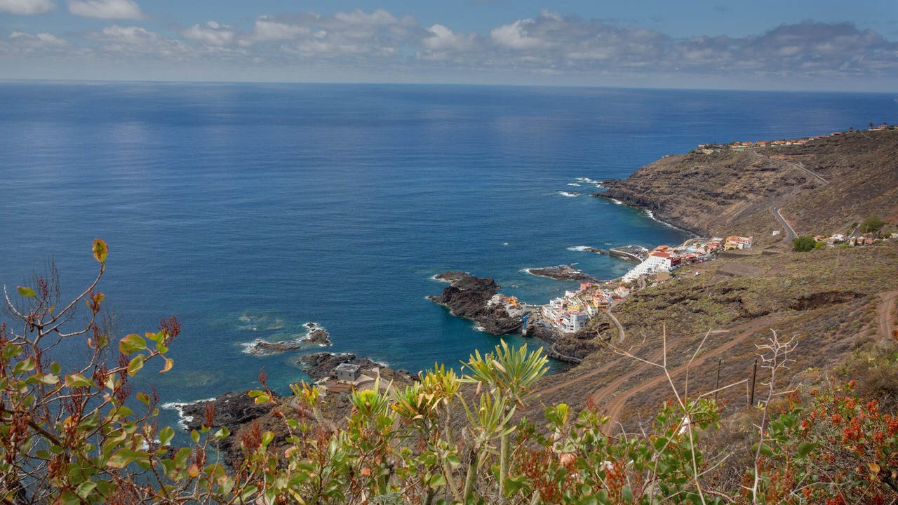 Photo of Outdoor in Tacoronte