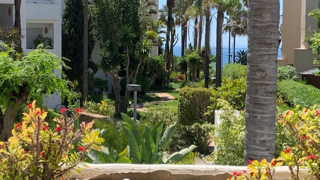 Photo of Outdoor in New Golden Mile