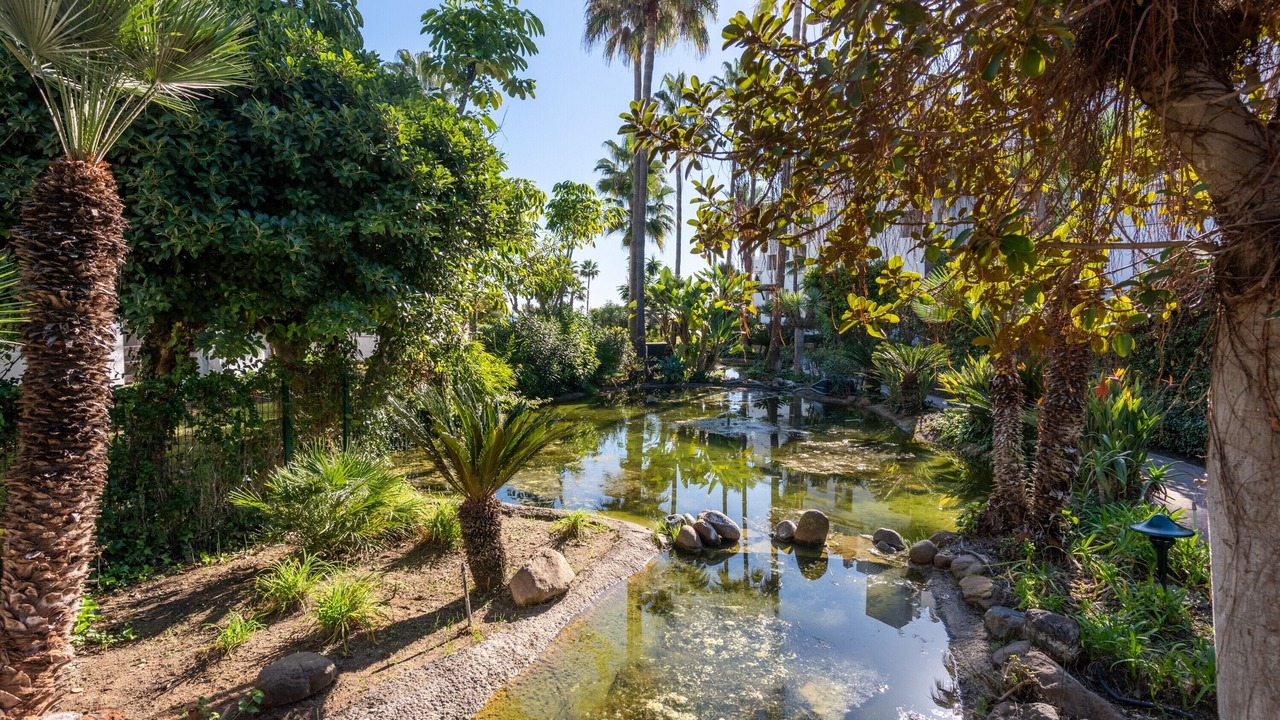 Photo of Outdoor in New Golden Mile