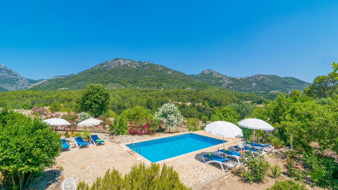 Photo of Outdoor in Selva