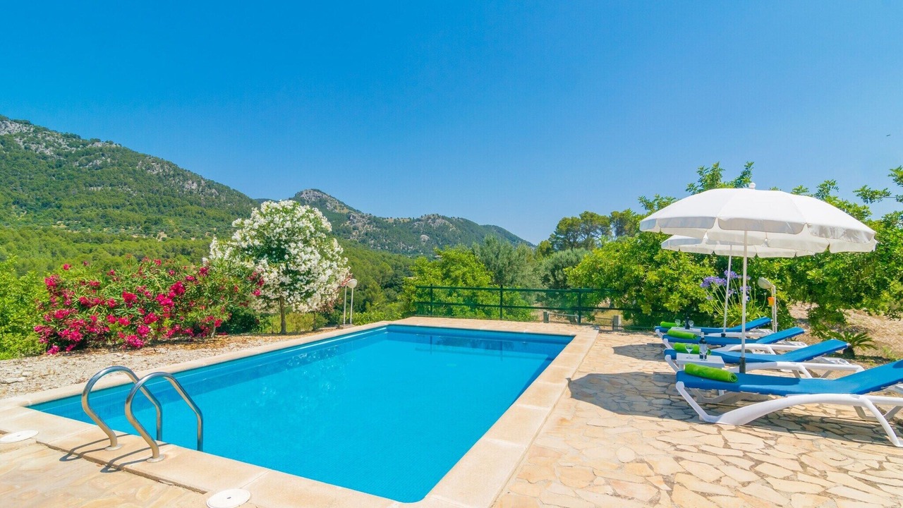 Photo of Outdoor in Selva