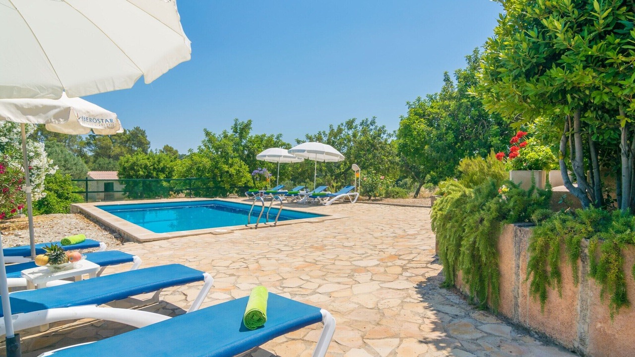 Photo of Outdoor in Selva