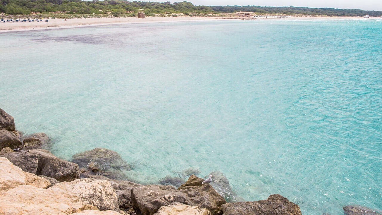 Photo of Outdoor in Sa Rapita