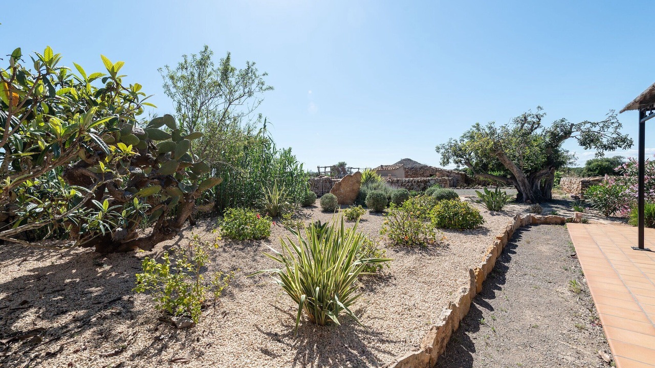 Photo of Outdoor in Santanyi
