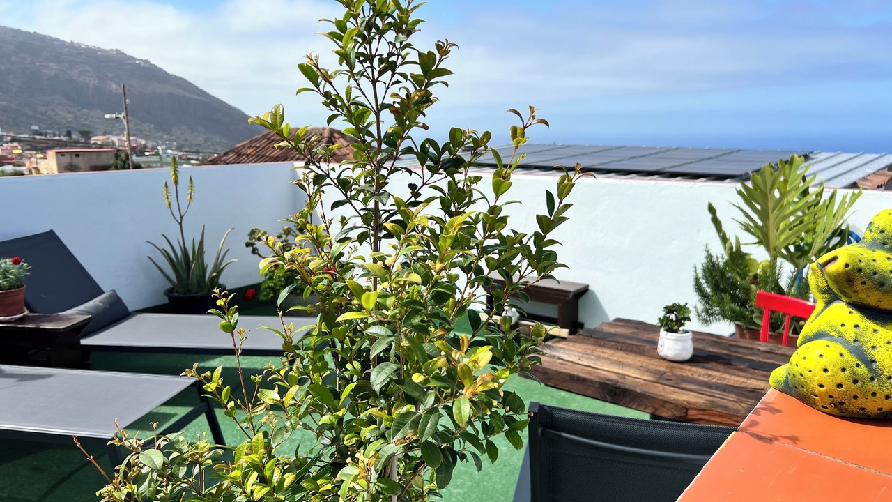 Photo of Outdoor in Los Realejos