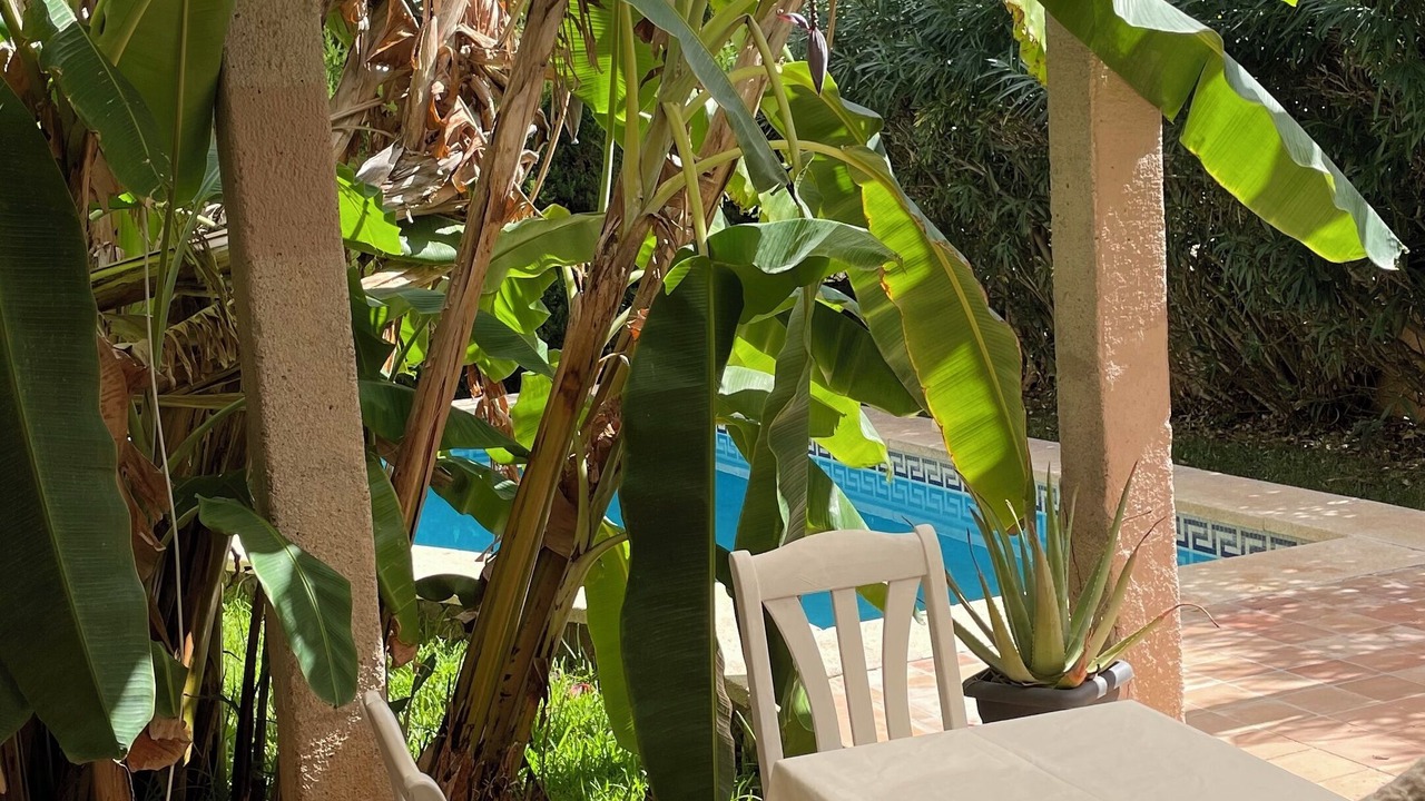 Photo of Outdoor in Cala Bona