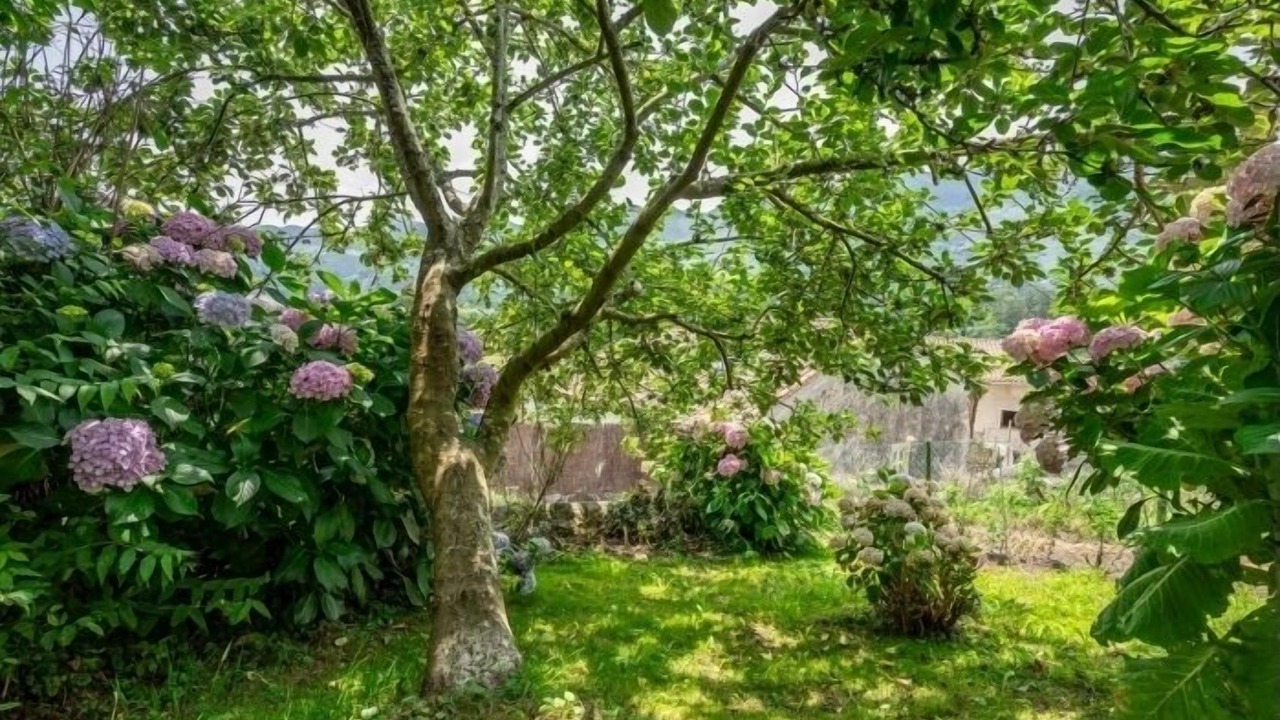 Photo of Outdoor in Llanes