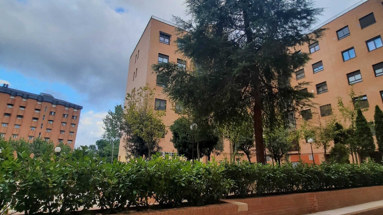 Photo of Outdoor in Tres Cantos
