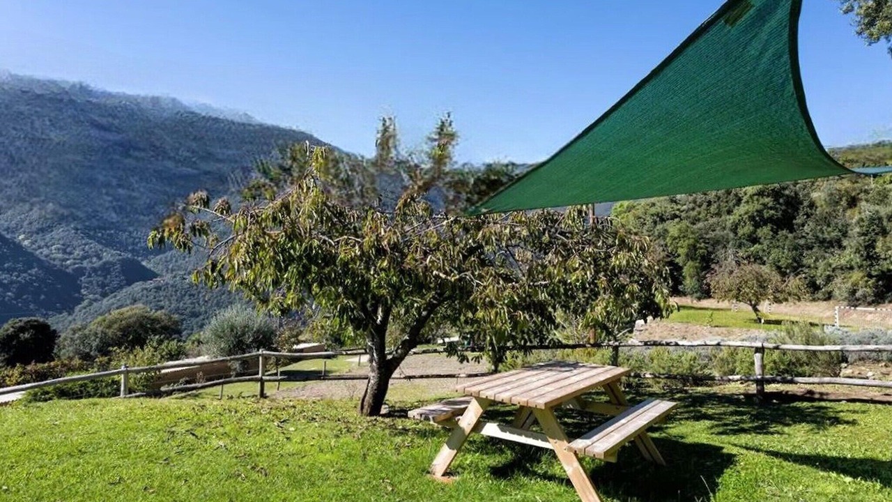 Photo of Others in Montseny