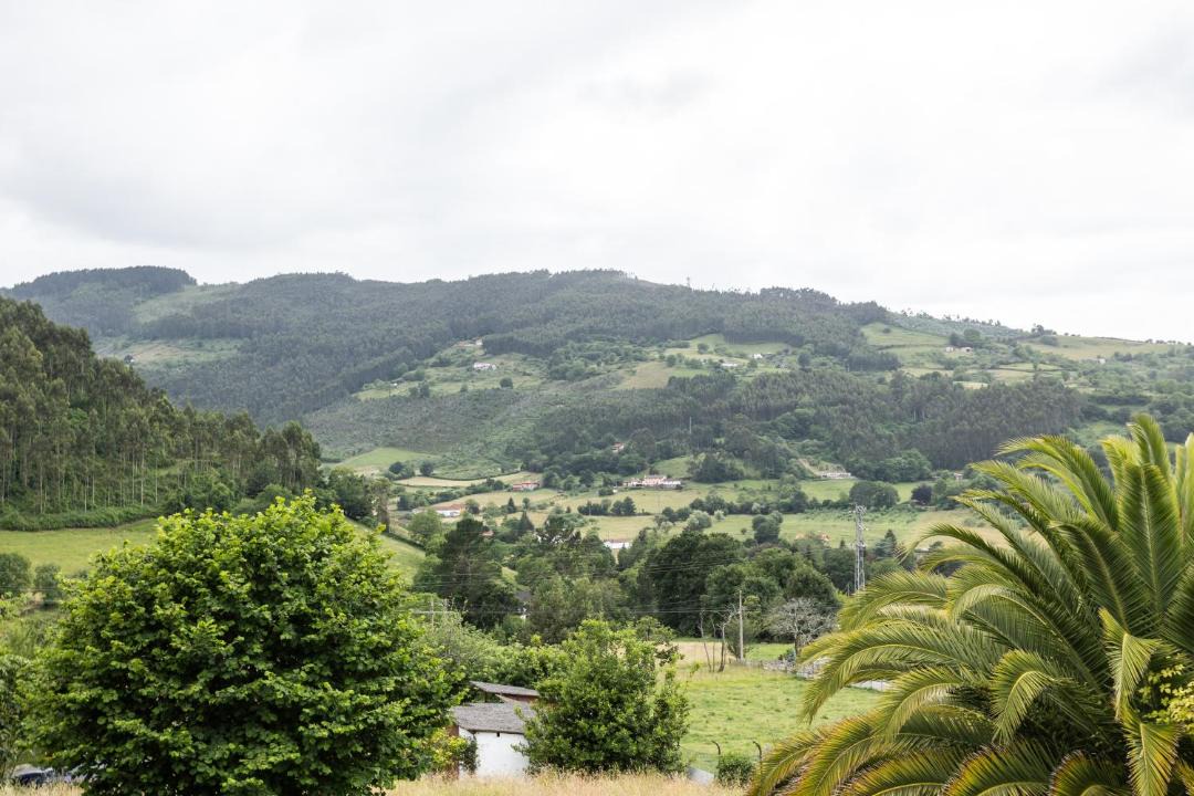 Photo of Others in Villaviciosa