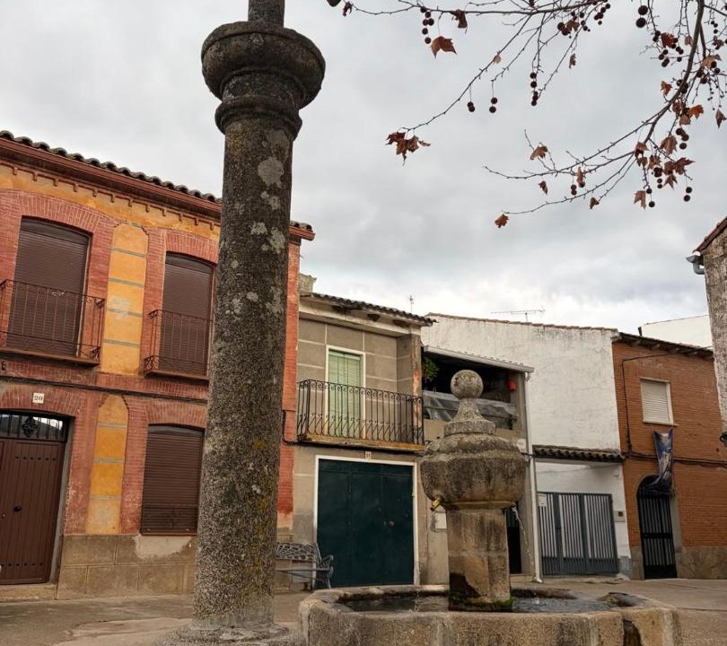 Photo of Others in Hinojosa de San Vicente