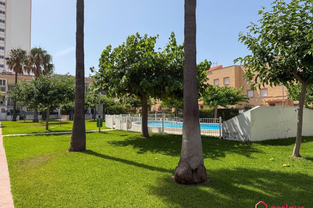 Photo of Others in Oropesa del Mar