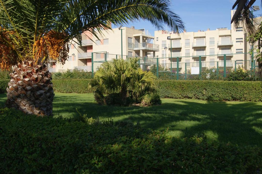 Photo of Others in Alcossebre