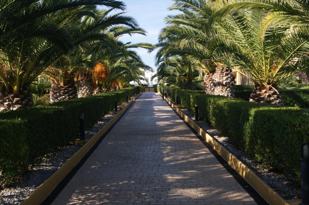 Photo of Others in Alcossebre